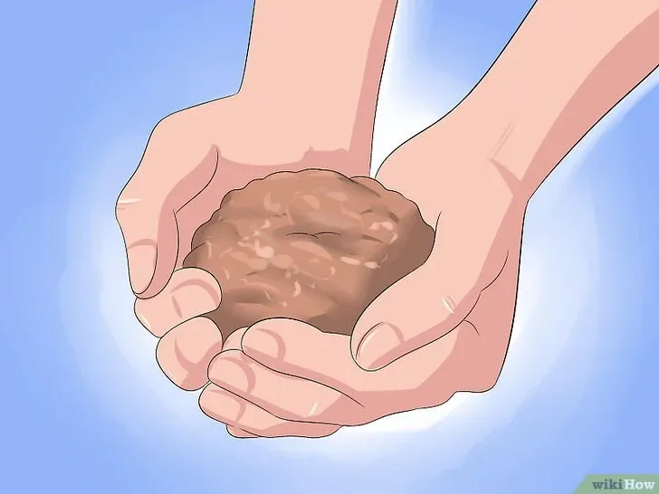 Công thức đất trồng thoát nước nhanh chuyên biệt cho cây nha đam