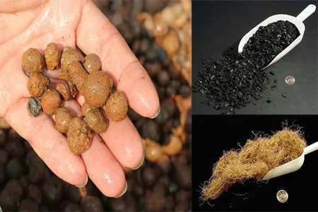 Lựa chọn giá thể trồng lan hồ điệp tại nhà tơi xốp và thoát nước tốt