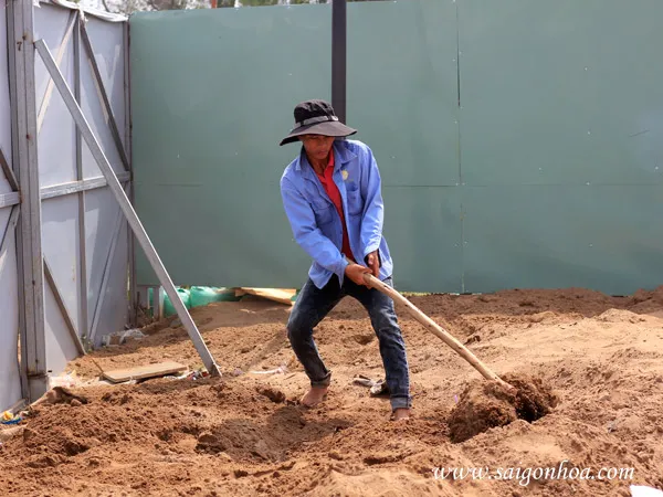 Cải tạo đất trồng cỏ