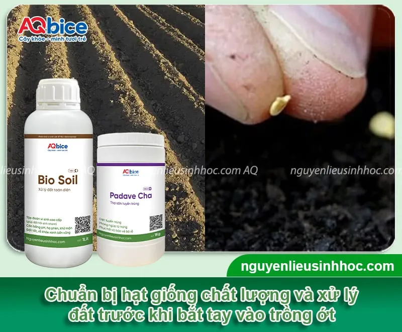 Cần chuẩn bị kỹ lưỡng trước khi tiến hành cách trồng ớt hiểm xanh tại nhà