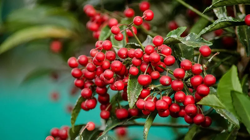 NgÃ¢n kim lÆ°á»£ng há»£p vá»›i ngÆ°á»i má»‡nh Há»a vÃ  Thá»•