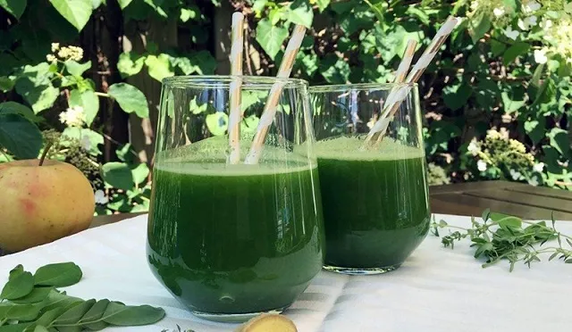 Cây rau bồ ngót nấu canh, hoặc xay nước sinh tố