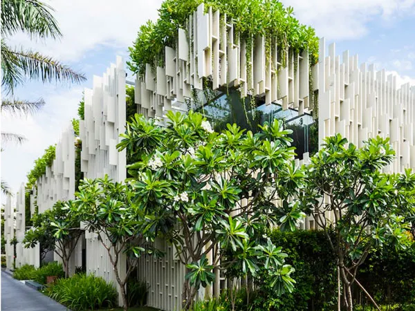 Cây sứ đại được trồng trong resort tạo không gian xanh mát