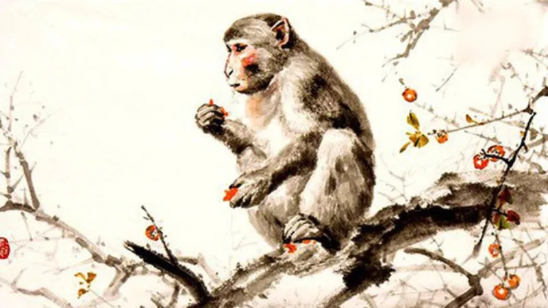 Người tuổi Thân, mệnh Kim rất phù hợp để trồng cây tuyết tùng