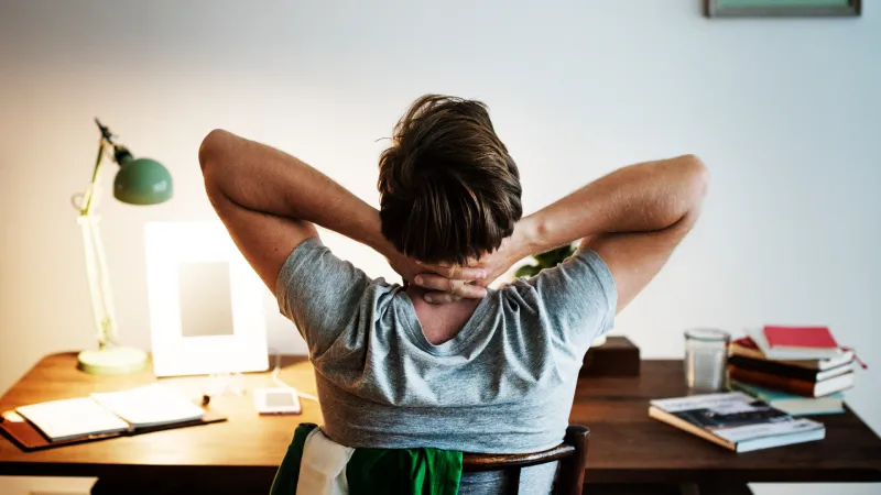 Cây tuyết tùng có nhiều công dụng từ thanh lọc không khí đến y học và tinh dầu