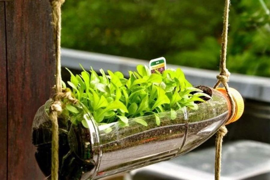 Tái Chế Chai Nhựa Trồng Rau: Hướng Dẫn Chi Tiết A-Z Tạo Vườn Xanh Tại Nhà