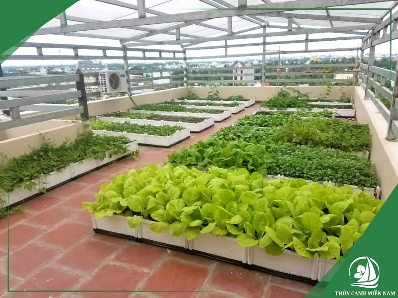 Che thêm lưới trên sân thượng trồng rau