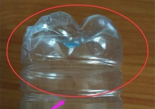 Tận dụng đáy chai nhựa để trồng tỏi tại nhà là một giải pháp tiện lợi cho không gian nhỏ.