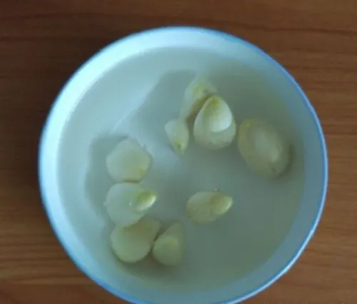 Tép tỏi sau khi ngâm nước đã sẵn sàng để chuyển sang khay ươm của phương pháp trồng tỏi trong chai nhựa.