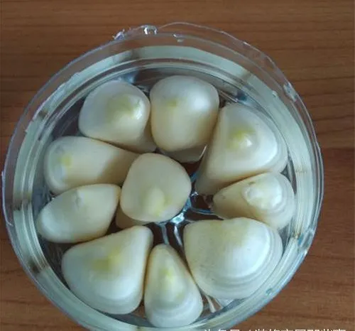 Đổ nước sạch vào phần đáy chai đã xếp tỏi, giữ mực nước chạm phần gốc tép tỏi.