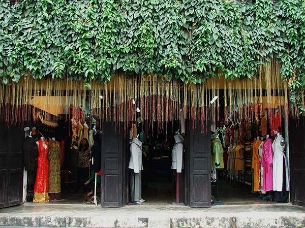 Cách Trồng Cây Trên Mái Tôn An Toàn, Chống Nóng Hiệu Quả Nhất