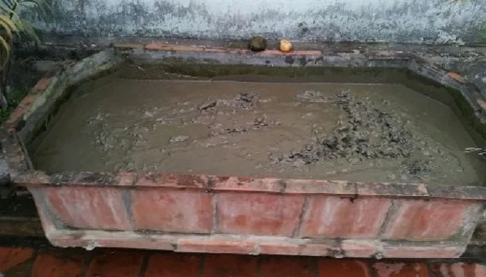 Chuẩn bị bùn để trồng hoa sen