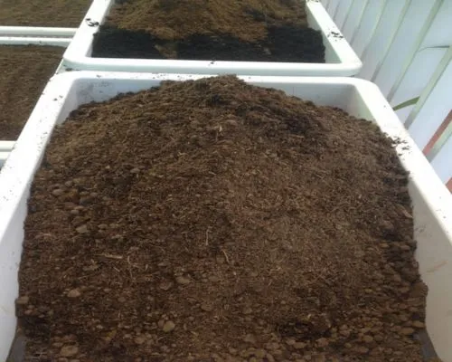 Chuẩn bị đất trồng tơi xốp và giàu dinh dưỡng cho cà rốt