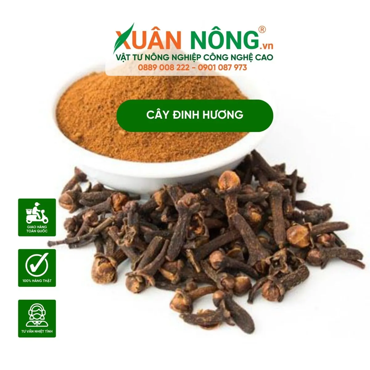 Công dụng và ứng dụng đa dạng của nụ hoa cây đinh hương