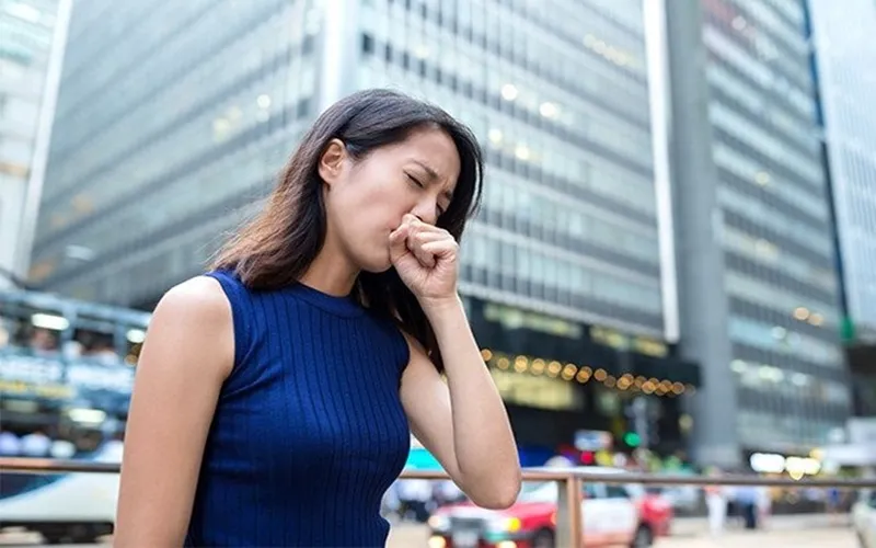 Mai xanh khi được ứng dụng làm thuốc