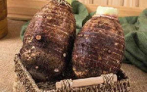 Đặc điểm củ khoai môn sáp vàng