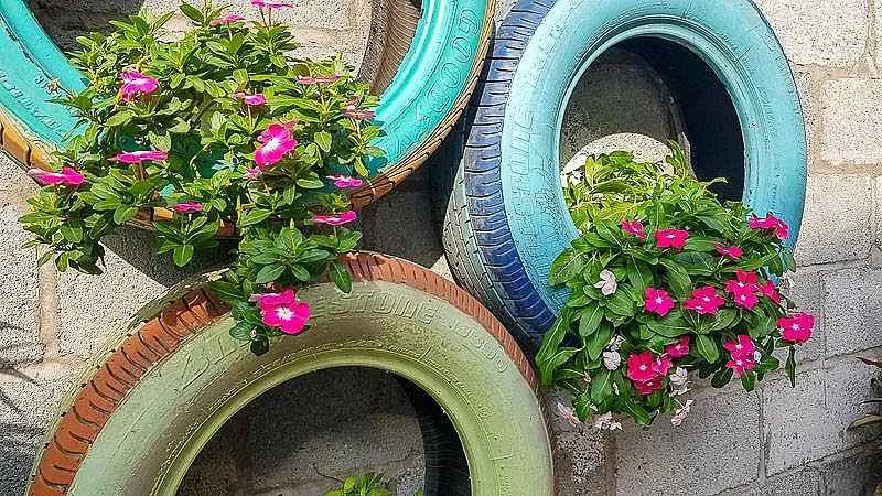 Tiểu cảnh chậu hoa lốp xe ở khu vực công cộng