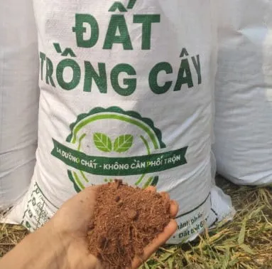 Đất trồng cây của phương Thảo Garden