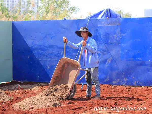 Đất trồng cỏ sân vườn