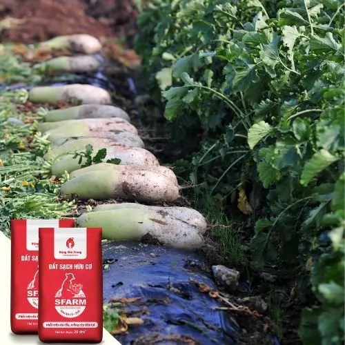 Alt text mô tả bằng tiếng Việt dưới 125 ký tự