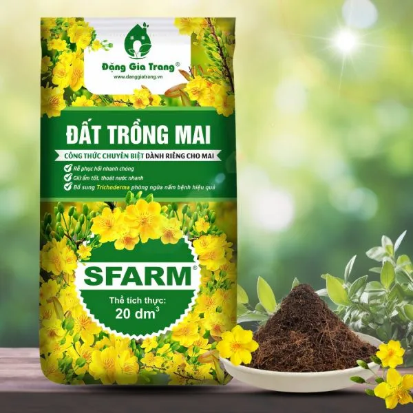 Bao bì đất trồng mai SFARM với thành phần chuyên biệt, khẳng định chất lượng cho người trồng mai