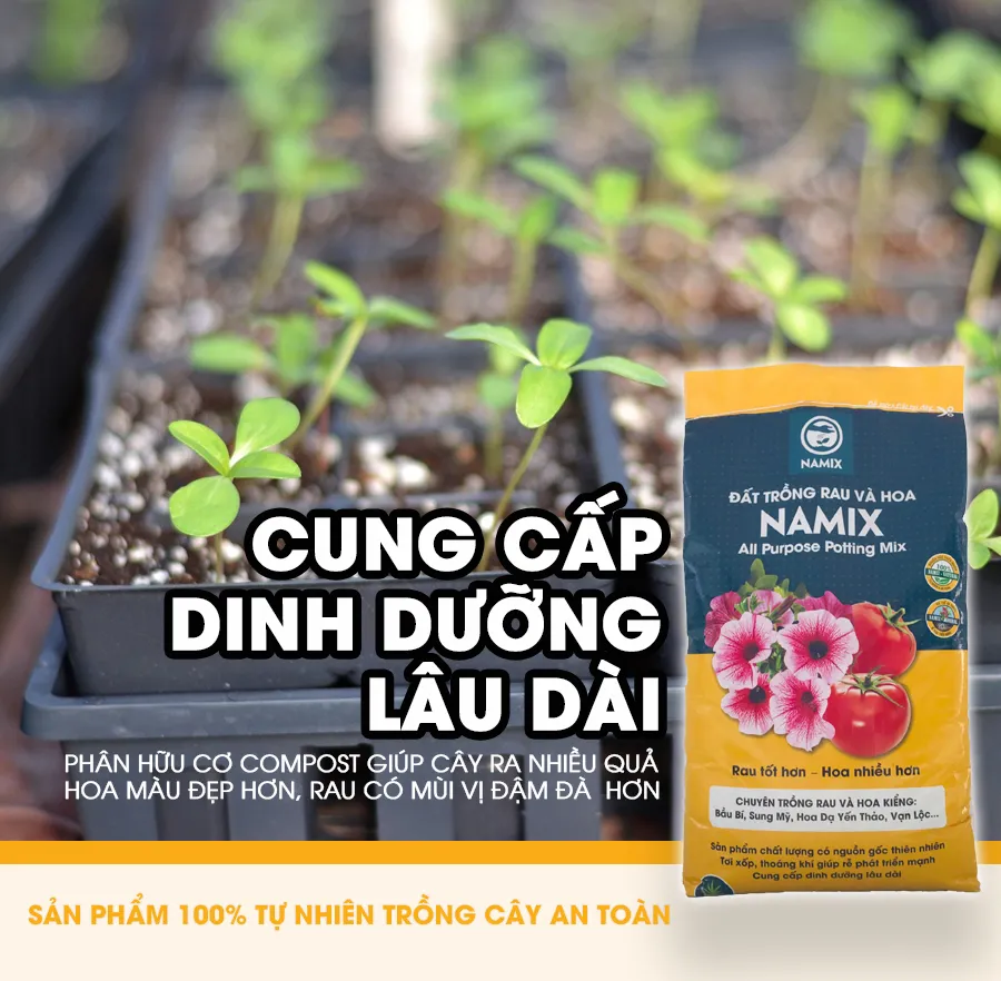 Đất trồng rau đa dụng Namix và các loại giá thể hỗ trợ trồng cây