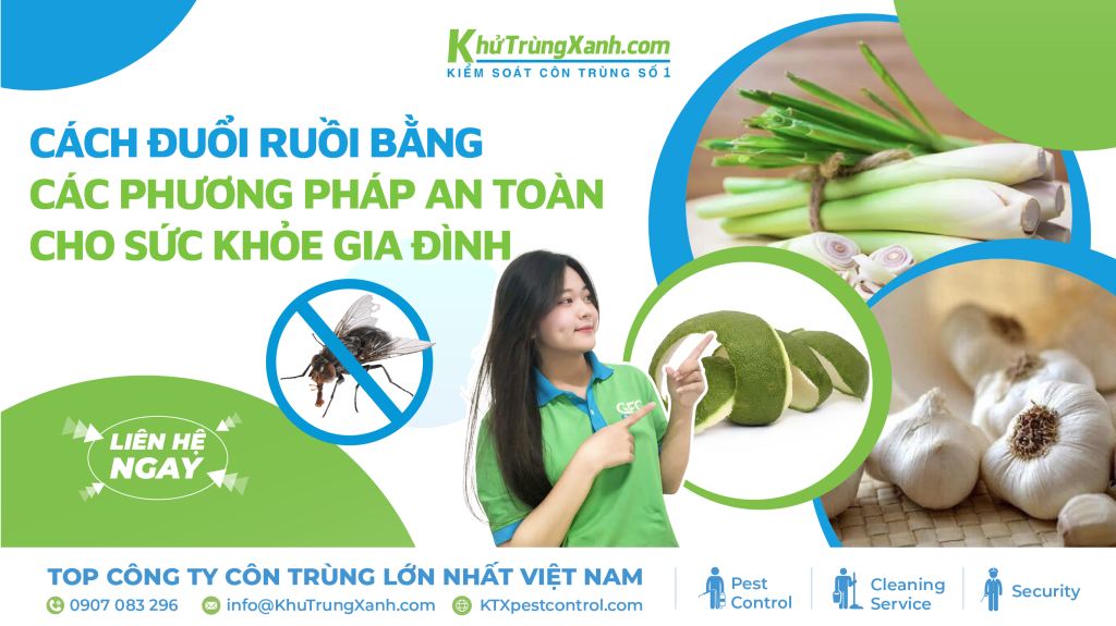 Cách Trồng Hoa Lan Hồ Điệp Tại Nhà Đạt Tỷ Lệ Ra Hoa Quanh Năm