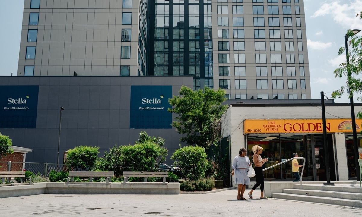 Cách Trồng Bông Điên Điển Đạt Năng Suất Cao Ngay Tại Nhà Cách Trồng Bông Điên Điển Đạt Năng Suất Cao Ngay Tại Nhà