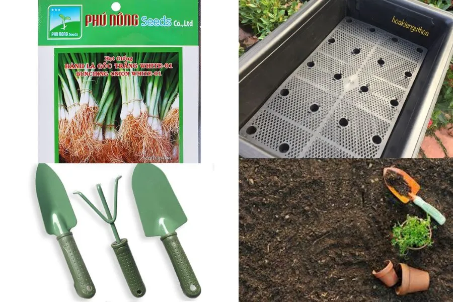 Cẩm Nang Chuyên Sâu: Quy Trình Chi Tiết Cách Trồng Hạt Hành Lá Hiệu Quả Tại Nhà Cẩm Nang Chuyên Sâu: Quy Trình Chi Tiết Cách Trồng Hạt Hành Lá Hiệu Quả Tại Nhà