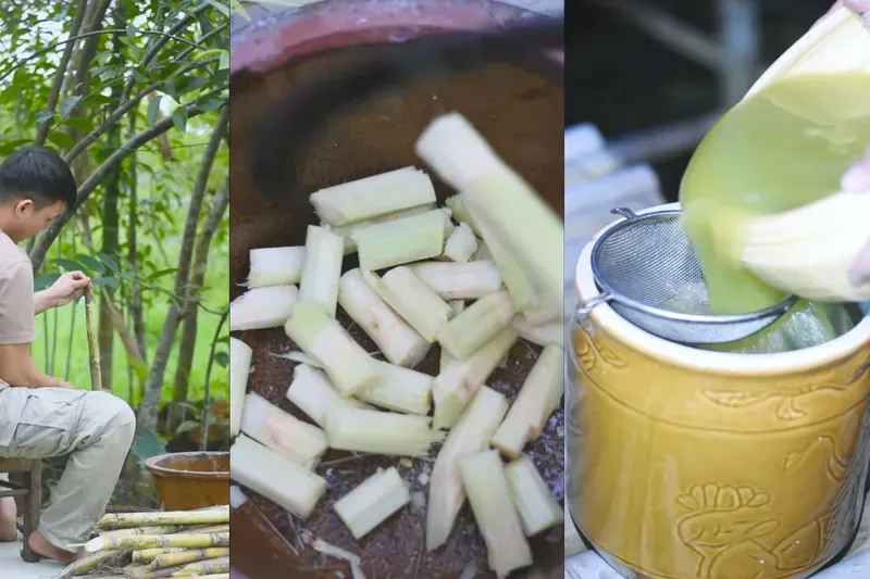 Nước mía tươi sau khi ép, nguyên liệu cho quá trình làm đường mía tại nhà