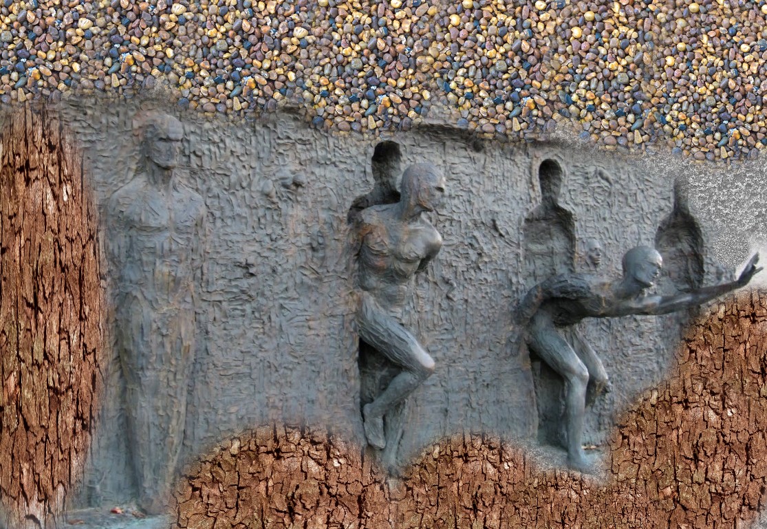 Cách Trồng Đậu Rồng: Kỹ Thuật Chuyên Sâu Cho Năng Suất Tối Đa Tại Vườn Nhà