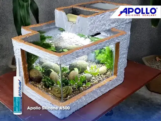 CÁCH TRỒNG RONG LA HÁN: Hướng Dẫn Kỹ Thuật Chi Tiết Cho Bể Thủy Sinh Đạt Chuẩn