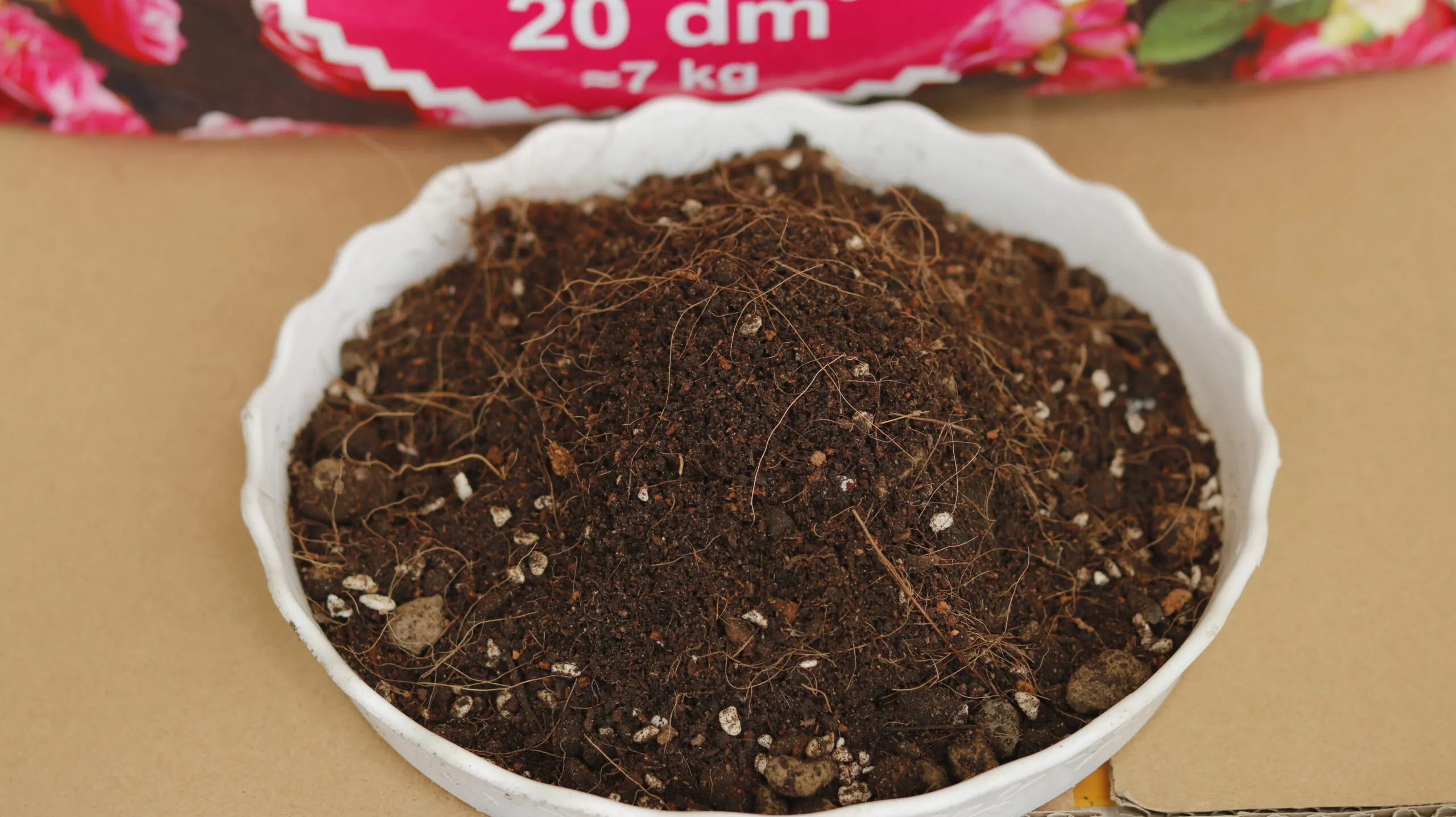 Cận cảnh chất giá thể chuyên dụng cho hoa hồng, rất tơi xốp và giàu dinh dưỡng, giúp rễ Juliet phát triển tối đa