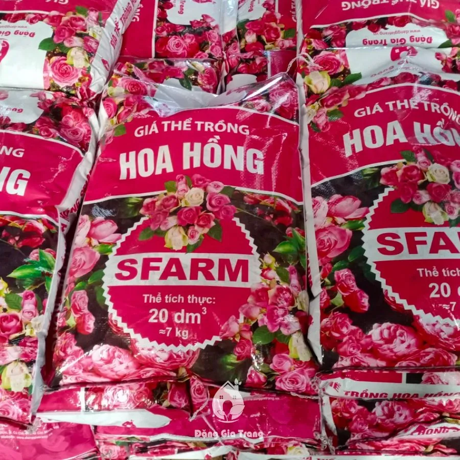 Gia The Trong Hoa Hong Tot Sfarm