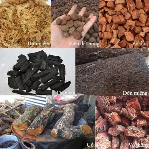 Các Loại Giá Thể Trồng Lan Tối Ưu