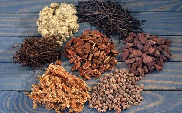 Vỏ thông là một trong những loại giá thể trồng lan được lựa chọn nhiều