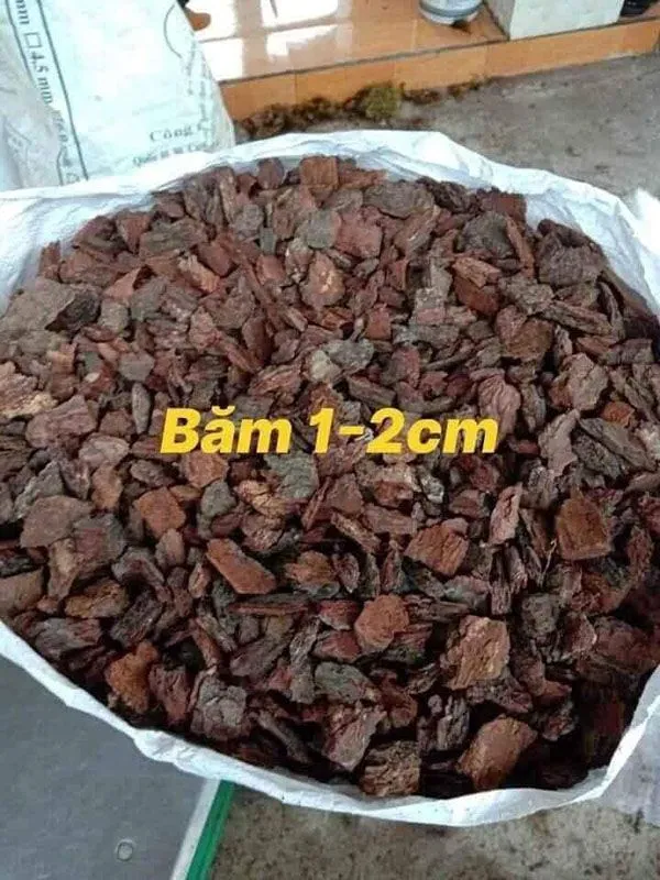 Vỏ thông được băm nhỏ thành kích thước 1-2cm