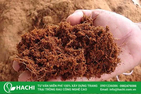 Chuẩn bị đầy đủ các loại giá thể như xơ dừa hoặc rockwool cho mô hình trồng ớt thủy canh