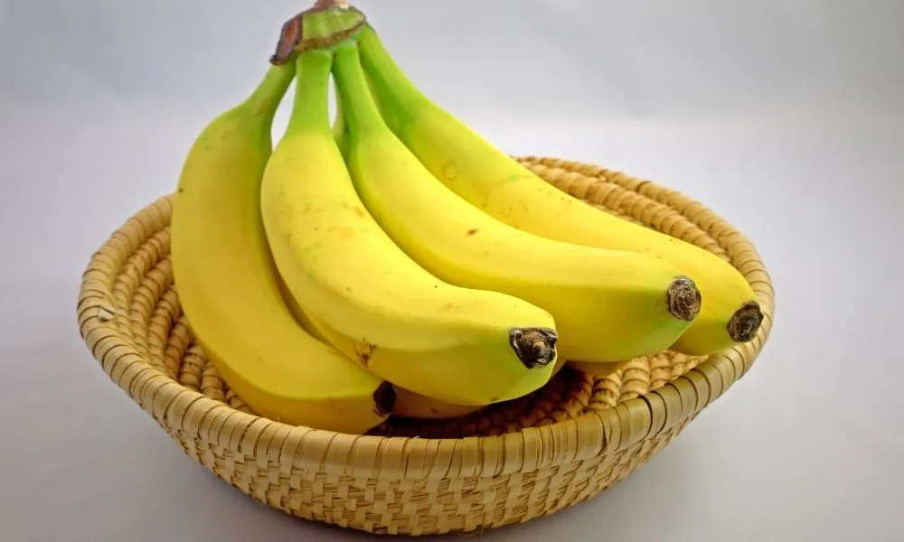 Cây chuối tiêu là tên gọi phổ biến của giống chuối Cavendish