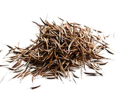 Hạt giống hoa sao nhái khô được chuẩn bị để gieo trồng