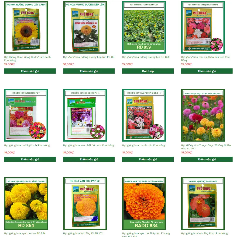 Cách Trồng Hoa Cúc Bằng Hạt: Hướng Dẫn Chi Tiết A-Z Cho Người Mới Bắt Đầu