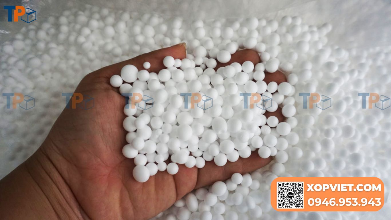 Hướng Dẫn Chi Tiết A-Z: Cách Trồng Măng Tây Ở Miền Bắc Đạt Năng Suất Cao