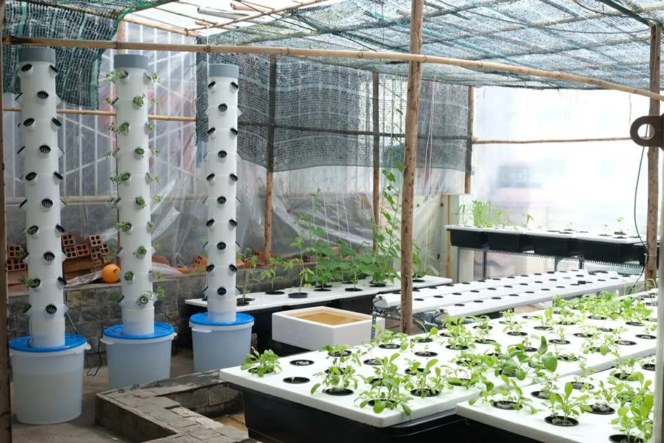 Các thành phần chính cần thiết để làm hệ thống trồng rau thủy canh trụ đứng tại nhà