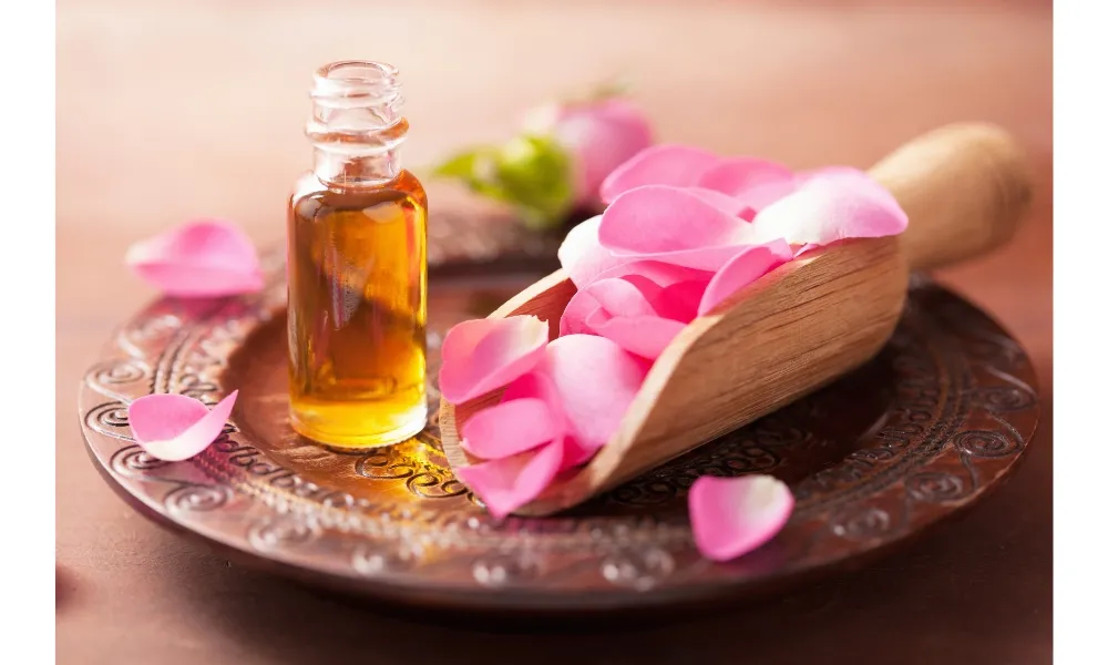 Cánh hoa hồng leo Pháp chứa nhiều vitamin, có công dụng giảm căng thẳng và làm đẹp da