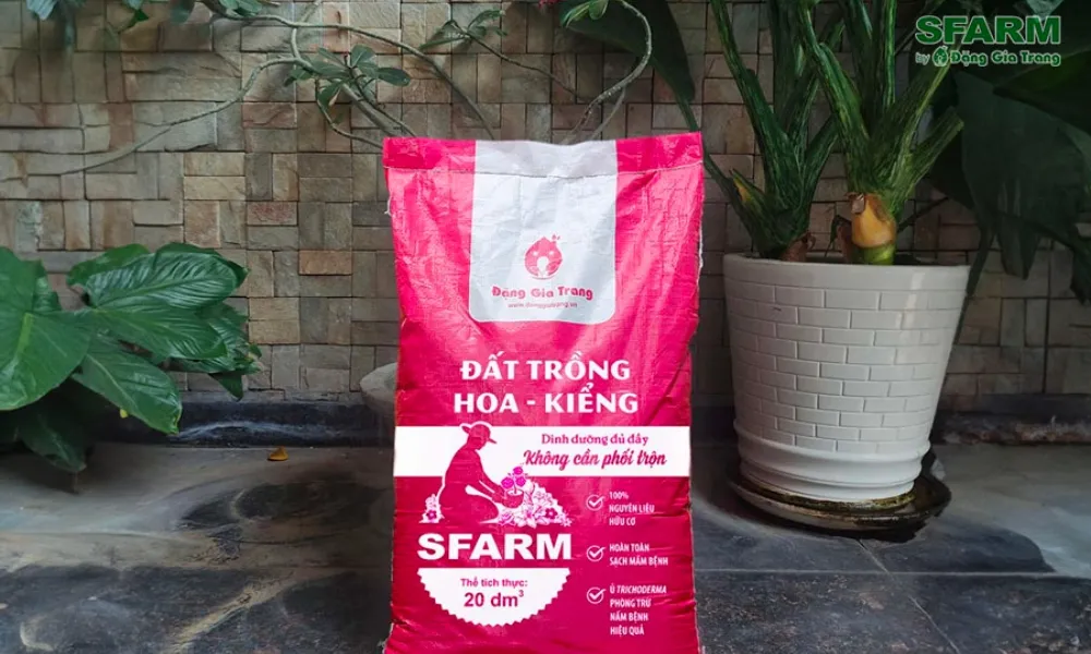 Đất trồng phù hợp và giàu dinh dưỡng cho kỹ thuật trồng hoa hướng dương