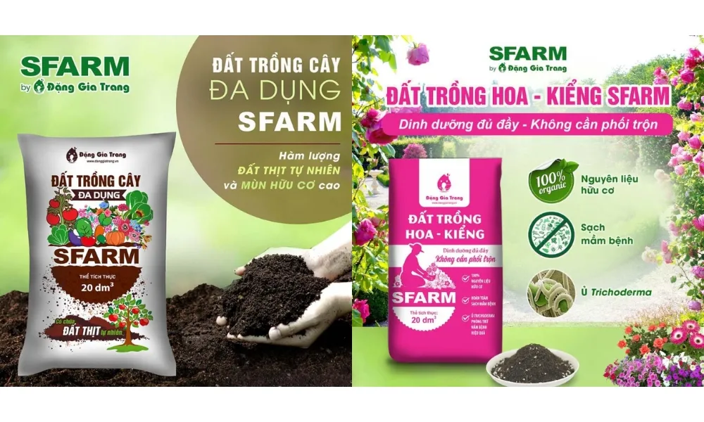 Giá thể lý tưởng khi trồng hoa thược dược trong chậu