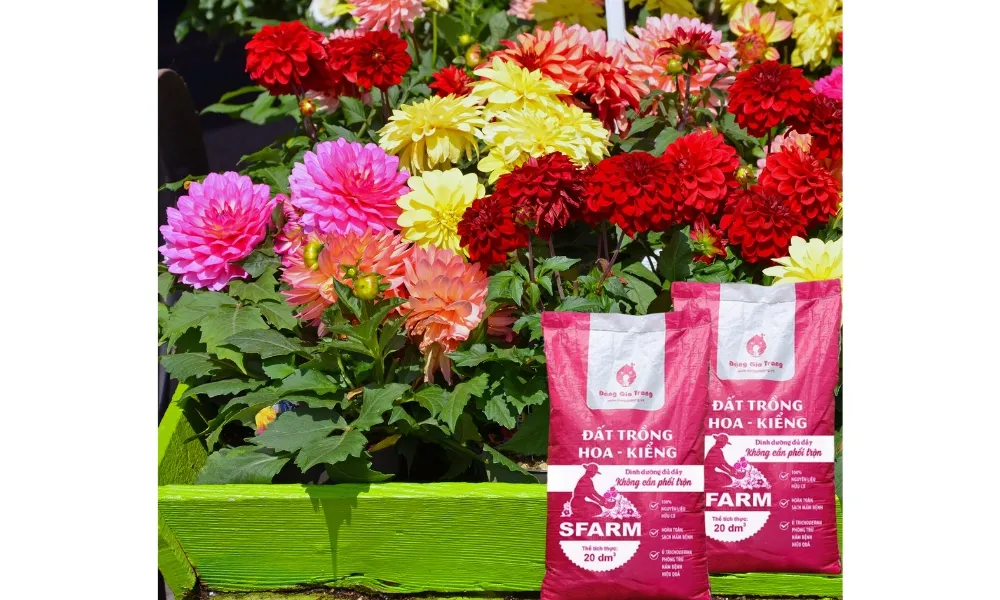 Đất sạch hữu cơ chuyên dùng trồng hoa kiểng