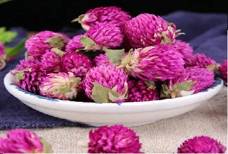 Hoa cúc bách nhật khô