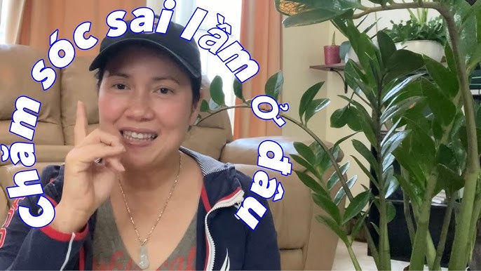 Cách Trồng Cây Lan Nước Thủy Sinh Đẹp Mắt, Dễ Chăm Sóc