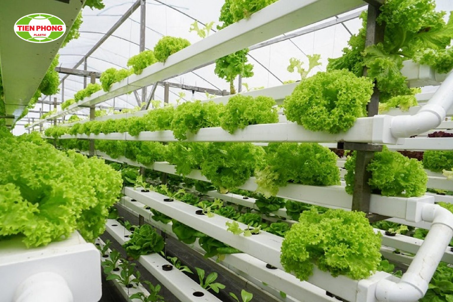 Cách Làm Tháp Trồng Rau Hiệu Quả Từ Thùng Nhựa: Hướng Dẫn Chi Tiết A-Z